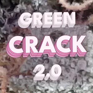 Green Crack 2.0 Cannabis Strain