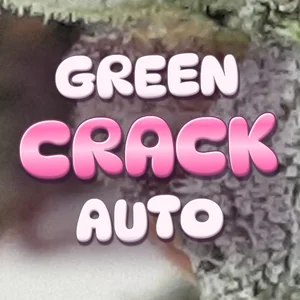 Green Crack Auto Cannabis Strain