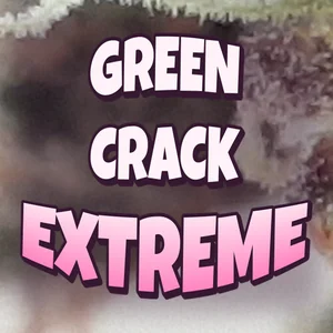 Green Crack Extreme Cannabis Strain