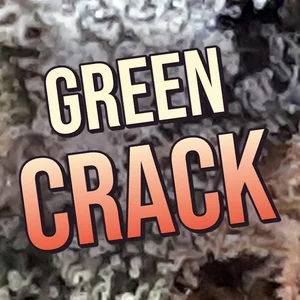 Green Crack Cannabis Strain
