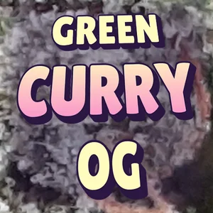 Green Curry OG Cannabis Strain