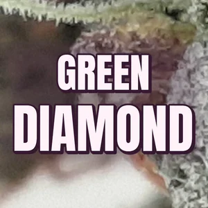 Green Diamond Cannabis Strain