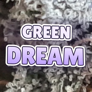 Green Dream Cannabis Strain