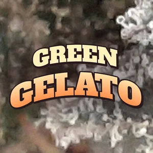 Green Gelato Cannabis Strain