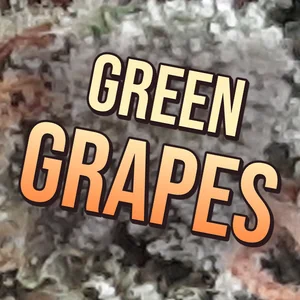 Green Grapes Cannabis Strain
