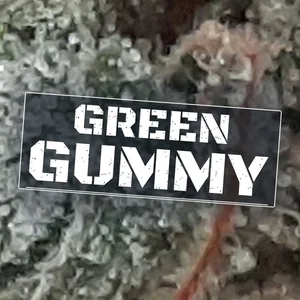 Green Gummy Cannabis Strain