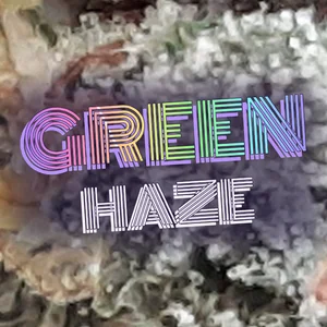 Green Haze Cannabis Strain
