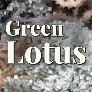 Green Lotus Cannabis Strain