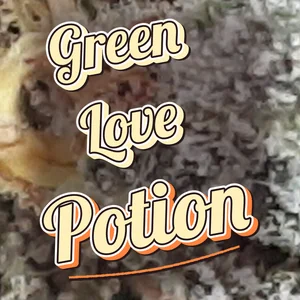 Green Love Potion Cannabis Strain