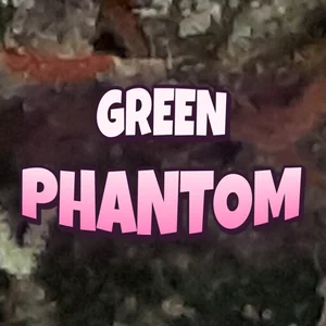 Green Phantom Cannabis Strain