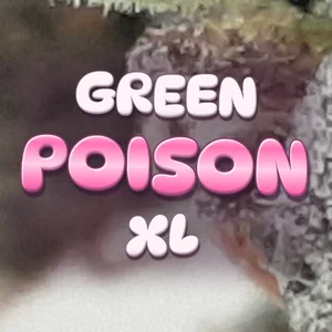 Green Poison XL Cannabis Strain
