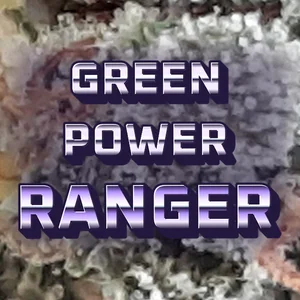 Green Power Ranger Cannabis Strain