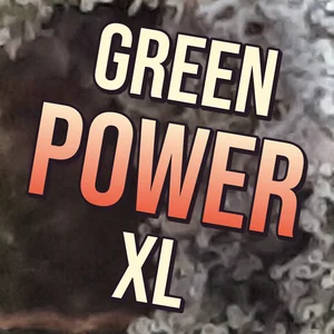 Green Power XL Cannabis Strain