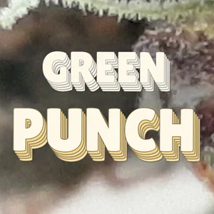 Green Punch Cannabis Strain
