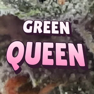 Green Queen Cannabis Strain