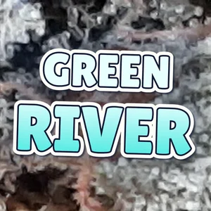 Green River Cannabis Strain