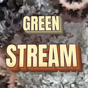 Green Stream Cannabis Strain