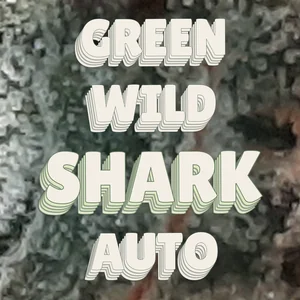 Green Wild Shark Auto Cannabis Strain