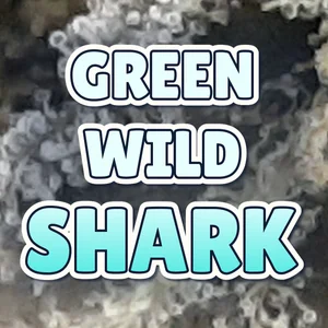 Green Wild Shark Cannabis Strain