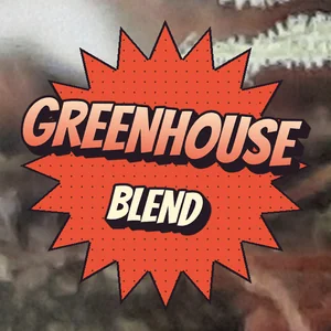 Greenhouse blend Cannabis Strain