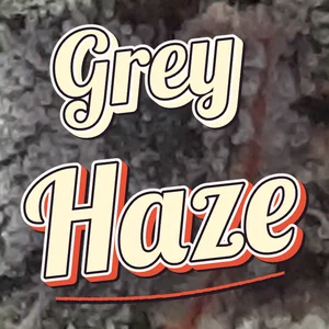 Grey Haze Cannabis Strain