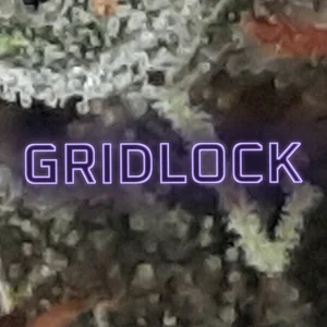 Gridlock Cannabis Strain