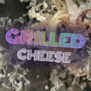 Grilled Cheese Cannabis Strain