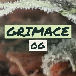 Grimace OG Cannabis Strain
