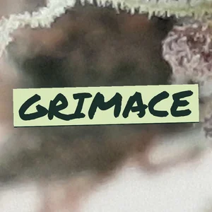 Grimace Cannabis Strain
