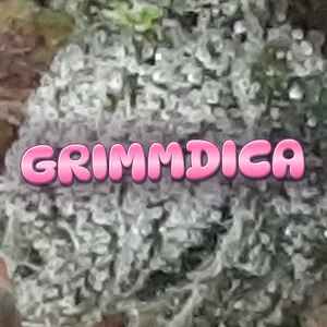 Grimmdica Cannabis Strain