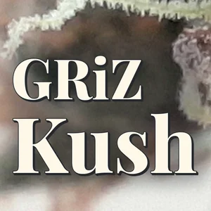 GRiZ Kush Cannabis Strain