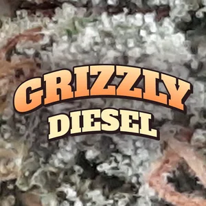 Grizzly Diesel Cannabis Strain