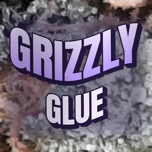 Grizzly Glue Cannabis Strain