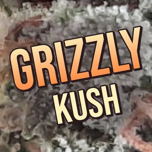 Grizzly Kush Cannabis Strain