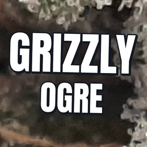 Grizzly Ogre Cannabis Strain