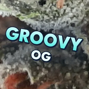 Groovy OG Cannabis Strain