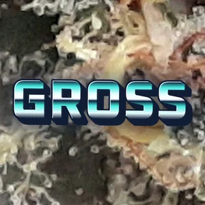 Gross Cannabis Strain
