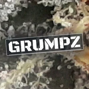 Grumpz Cannabis Strain