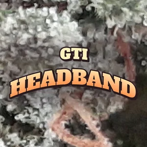 Gti Headband Cannabis Strain