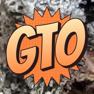 GTO Cannabis Strain