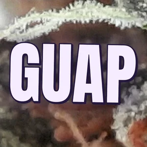 Guap Cannabis Strain