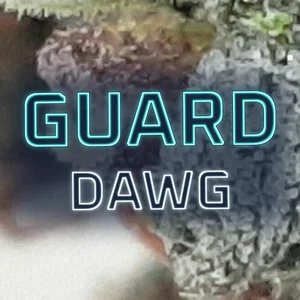 Guard Dawg Cannabis Strain