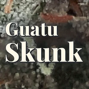 Guatu Skunk Cannabis Strain