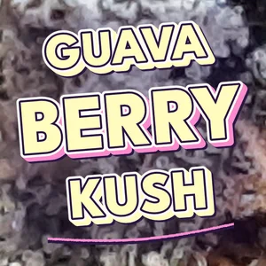 Guava Berry Kush Cannabis Strain