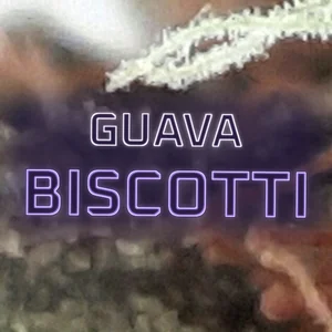 Guava Biscotti Cannabis Strain