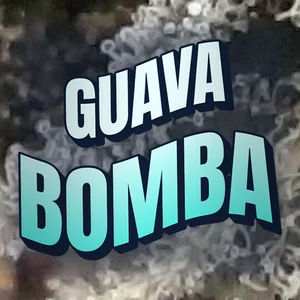 Guava Bomba Cannabis Strain