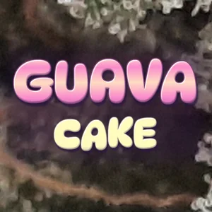 Guava Cake Cannabis Strain