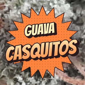 Guava Casquitos Cannabis Strain