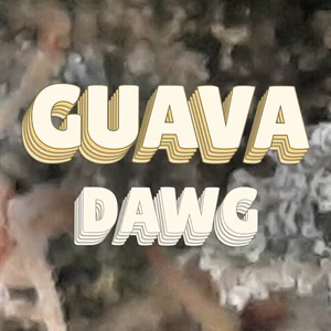 Guava Dawg Cannabis Strain