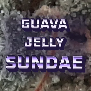 Guava Jelly Sundae Cannabis Strain